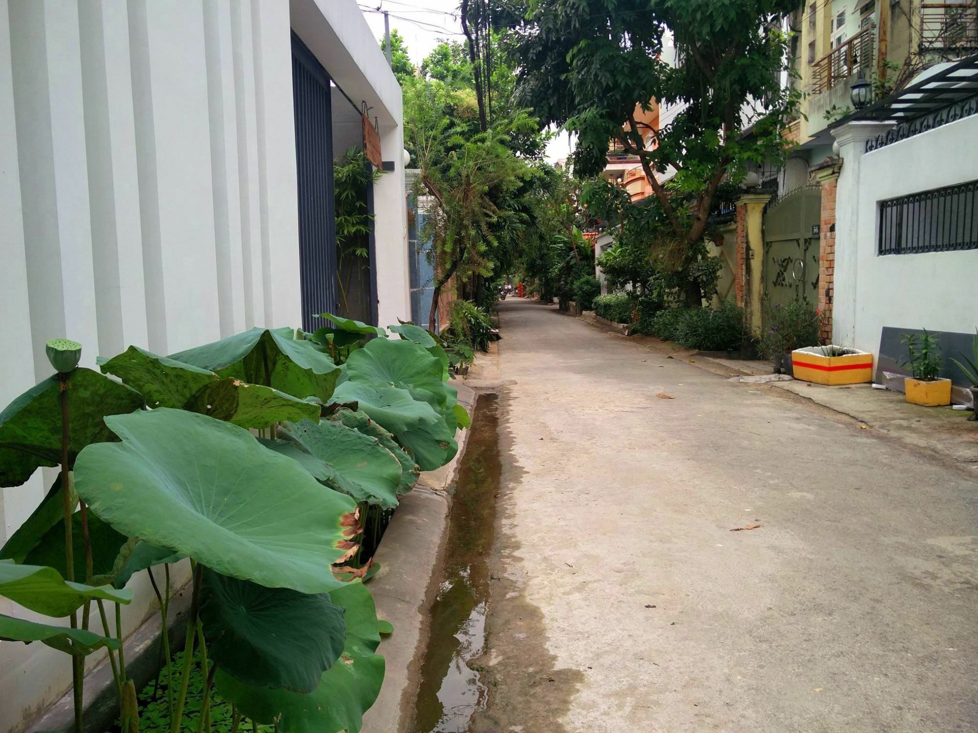 Apartamento Sen Boutique House By 5H Ciudad Ho Chi Minh  Exterior foto